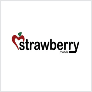 Strawberry SB103 Stock Firmware ROM (Flash File)